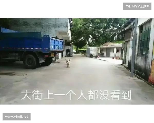 传统整车厂扎堆搞软件公司，留下的却没几个